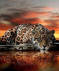 Leopard Gaze Paint By Numbers