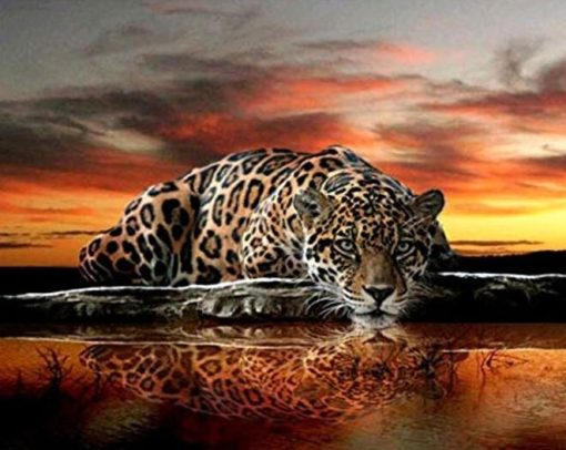 DIY-colorings-pictures-by-numbers-with-leopard-picture-drawing-painting-by-numbers-framed-Home