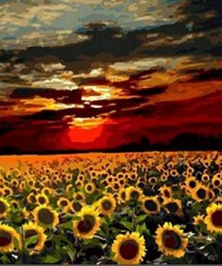 Sunflower Nature Scene Paint By Numbers