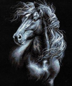 Black and White Stallions Paint By Numbers