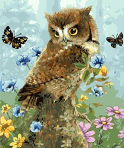 Owl and Butterfly Flying Birds Paint By Numbers