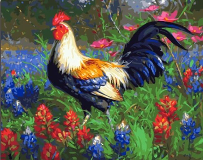 Modern Rooster Bird Paint By Numbers