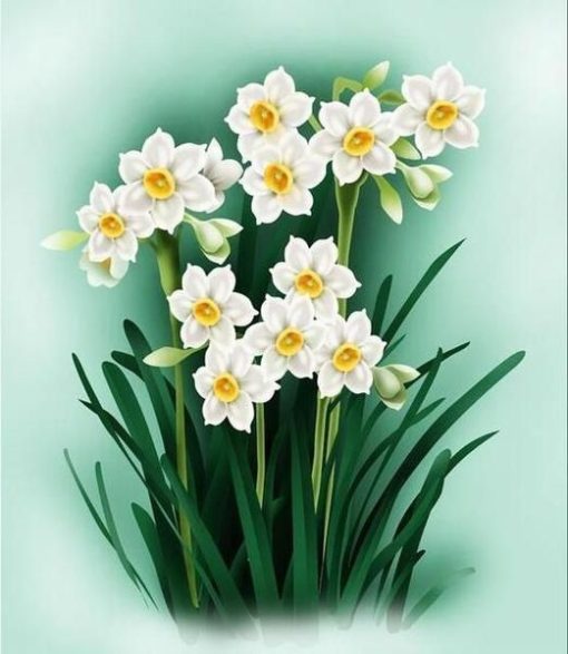 Daffodil-Flowers-DIY-Flowers-Paint-By-Numbers-PBN-12153