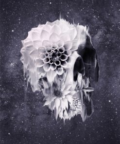 Abstract Skull Black and White Paint By Numbers