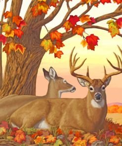 White Tailed Deer Buck Paint By Numbers