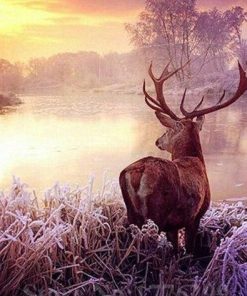 River Deer Antler Paint By Numbers