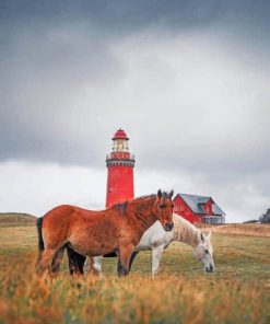 Horses at Danish Lighthouse Paint By Numbers