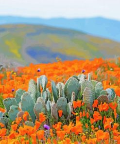 Vibrant Poppies of the Desert Paint By Numbers