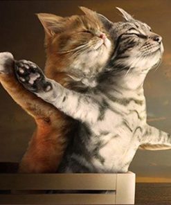Cat Titanic Animals Paint By Numbers