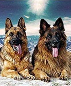 German Shepherd Dog Paint By Numbers