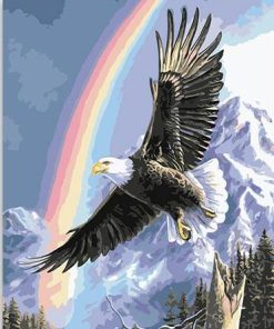 Flying Bald Eagle Paint By Numbers