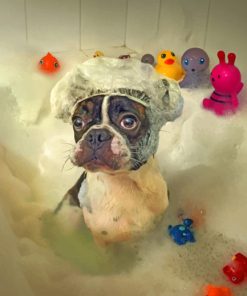 Dogs in Baths Paint By Numbers