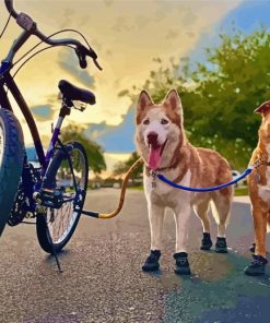 Biking Adventures with Dogs Paint By Numbers