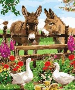 Farm Donkeys Paint By Numbers