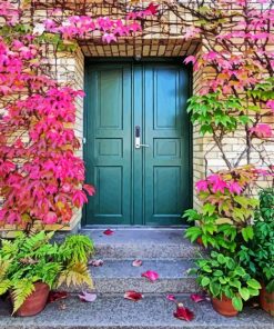 Flowers at Front Door Paint By Numbers
