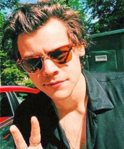 Harry Styles New Paint By Numbers