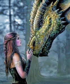 Dragon Fantasy Paint By Numbers