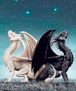 Dragon Twins Animal Paint By Numbers