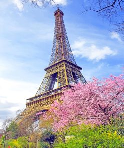 Springtime Eiffel Tower Paris View Paint By Numbers