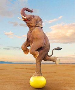 Majestic Bull Elephant Paint By Numbers