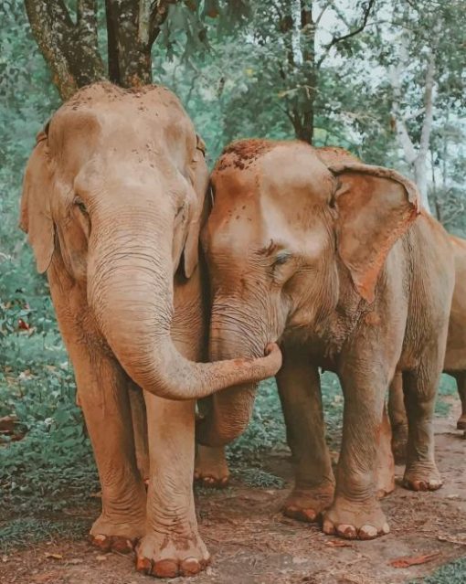 Elephants-love-paint-by-number