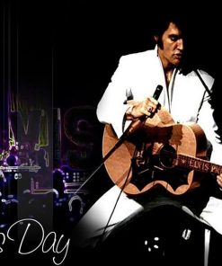 Elvis Presley Musician Tribute Paint By Numbers