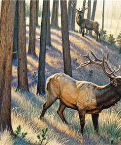 Majestic Bull Elk Paint By Numbers