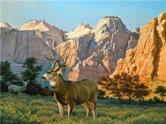 Elk Scene Paint By Numbers