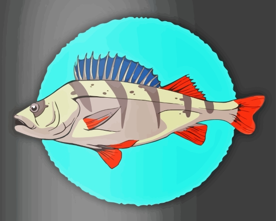 Finalizing the European Perch Fish Paint By Numbers artwork