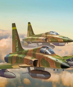 F 5e Tiger Military Aircraft Paint By Numbers