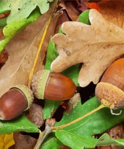 Autumn Acorns Painting Kit Paint By Numbers