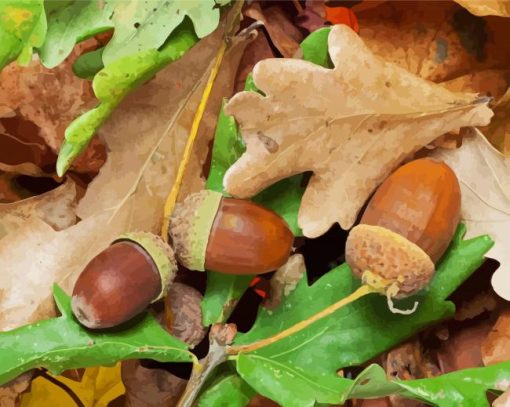 Fall-Leaves-And-acorns-paint-by-number