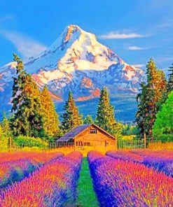 Colorful Mountain Landscape Paint By Numbers
