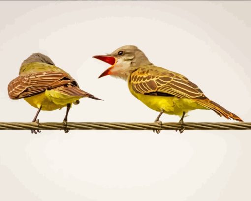Finches-On-Wire-paint-by-numbers