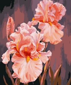 Pink Flowers Paint By Numbers
