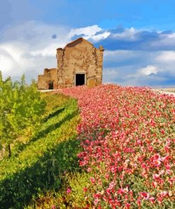 Colorful Flowers in Monsaraz Paint By Numbers