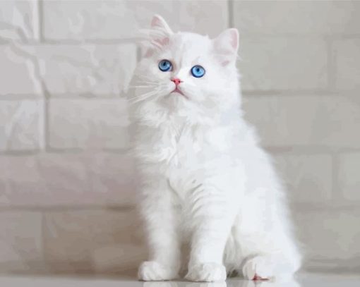 Fluffy-white-cat-with-blue-eyes-paint-by-number