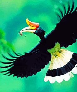 Great Hornbill Bird Paint By Numbers