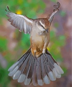 Majestic Northern Mockingbird Paint By Numbers
