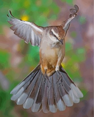 Majestic Northern Mockingbird Paint By Numbers