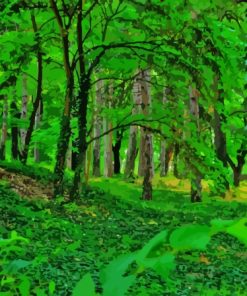 Forest Green Trees Nature Paint By Numbers