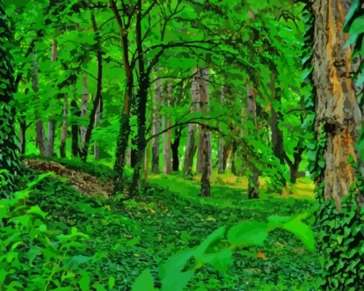 Forest-greenery-trees-paint-by-numbers