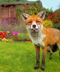 Fox Cub Animal Paint By Numbers