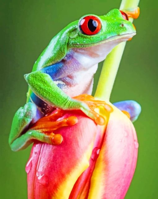 Frog-on-Tulip-Flower-paint-by-numbers