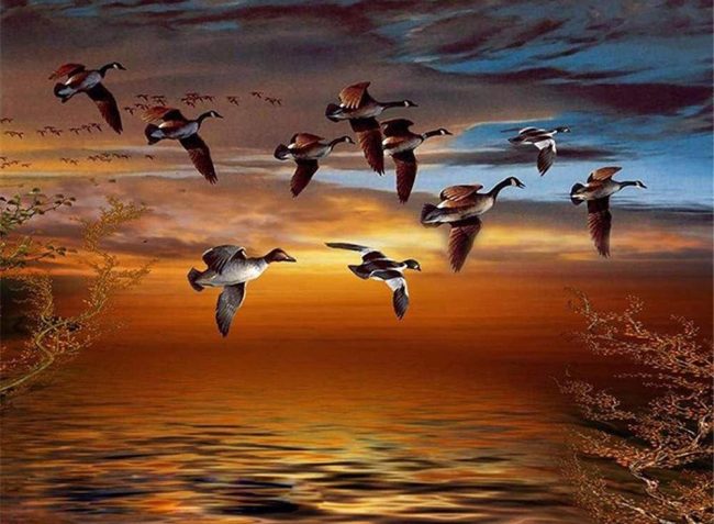 Geese Flying Over Sunset Paint By Numbers