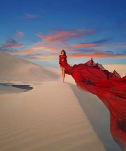 Desert Girl Photography Paint By Numbers