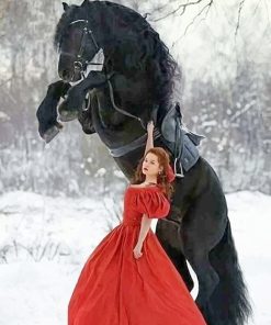 Beautiful Black Horse and Girl Paint By Numbers