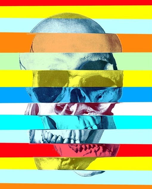 Glitch-Skull-DIY-Abstract-Paint-By-Numbers-PBN-24697