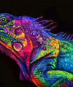 Colorful Chameleon Reptile Paint By Numbers
