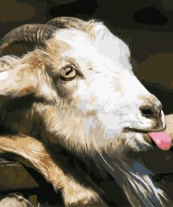 Goat Wildlife Paint By Numbers
